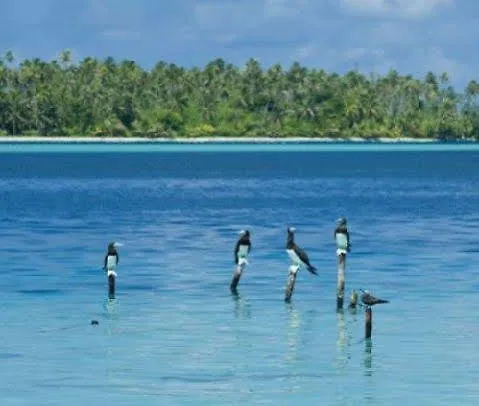 Opoa Beach Hotel 3*,  French Polynesia